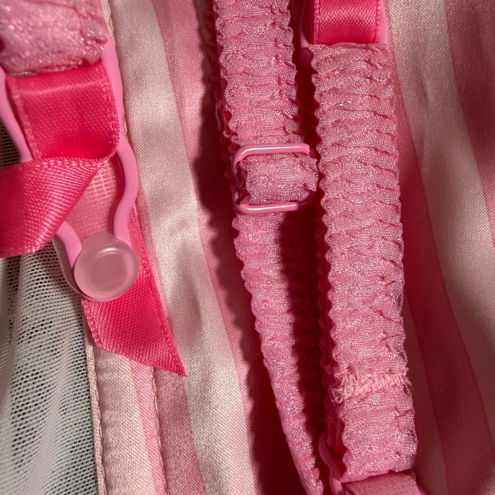 NWT Victoria's Secret 2015 Fashion Show 34C Pink Stripe Lace Corset Bustier Rare - Picture 6 of 13